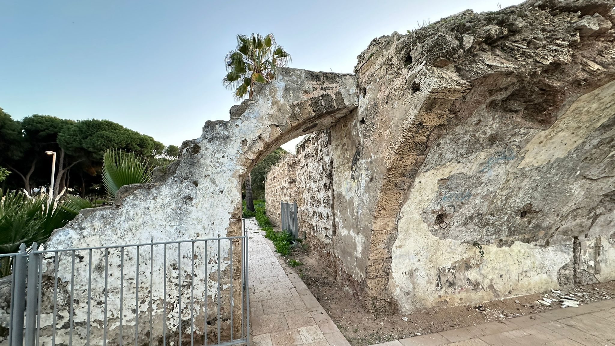 WhatsApp Image 2024-01-06 at 10.25.29 (3).jpg